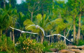 Màu xanh yên bình ở khu đô thị Ecopark.