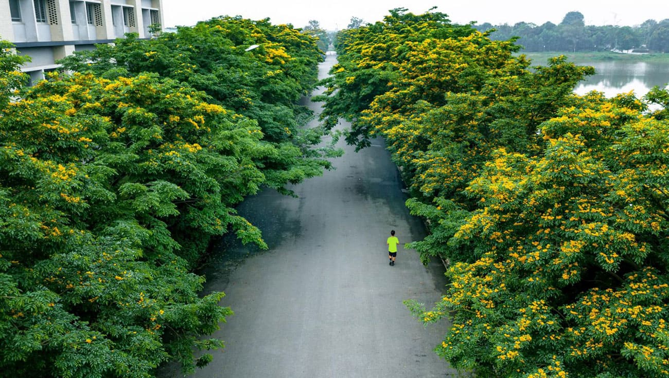 Ecopark Nơi có gió chữa lành cho người trưởng thành và thiên nhiên hạnh phúc cho trẻ nhỏ